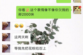 禹城专业要账公司